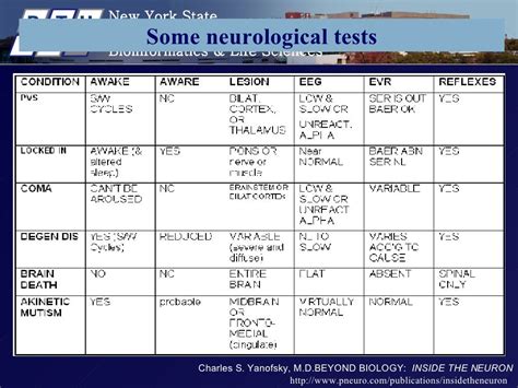 neuro package test|what is a neurological test.